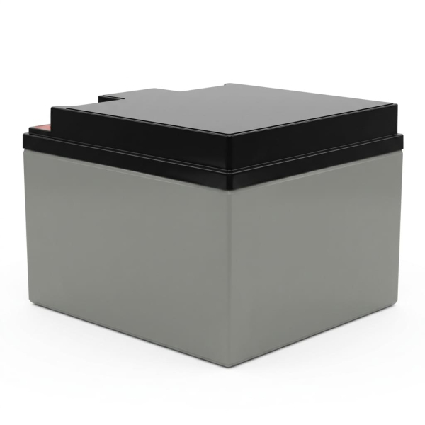 Yuasa Yuvolt Y24-12IFR 12V 24Ah AGM VdS Blei Accu Batterie wartungsfrei